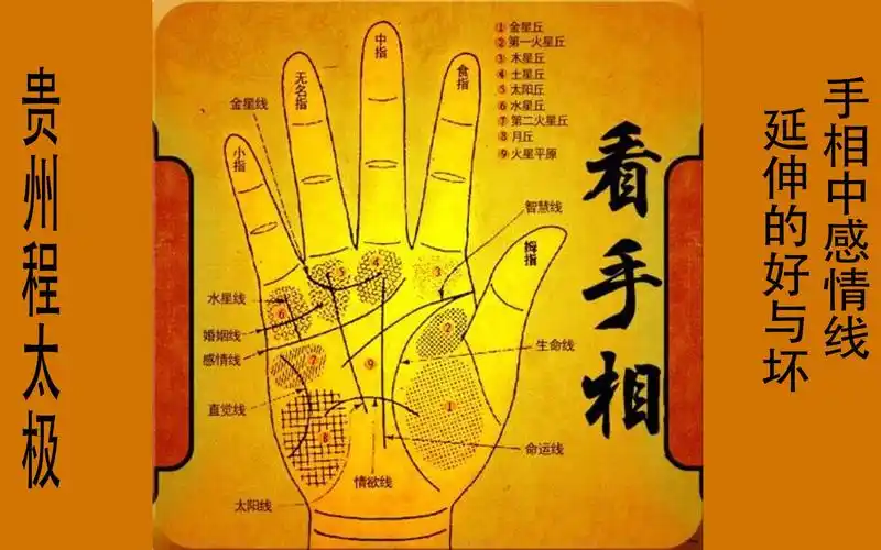 贵州程太极手相中感情线延伸的好与坏7