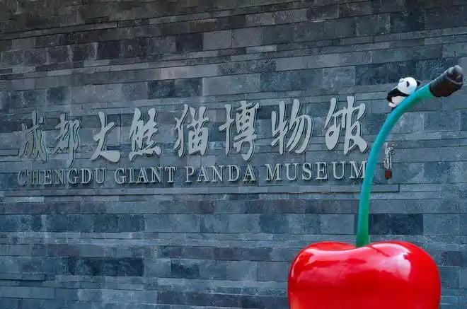 2021年3月11日四川成都成都大熊猫博物馆3月3日正式开馆