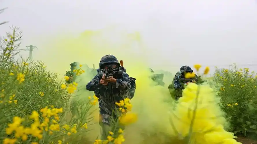 英雄的中国空降兵71岁生日快乐