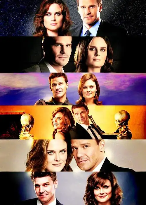 识骨寻踪 第六季 bones season 6的剧照