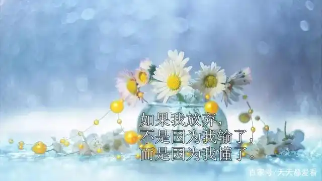 适合发朋友圈的人生感悟句子心情说说 每一句都说到心坎上!