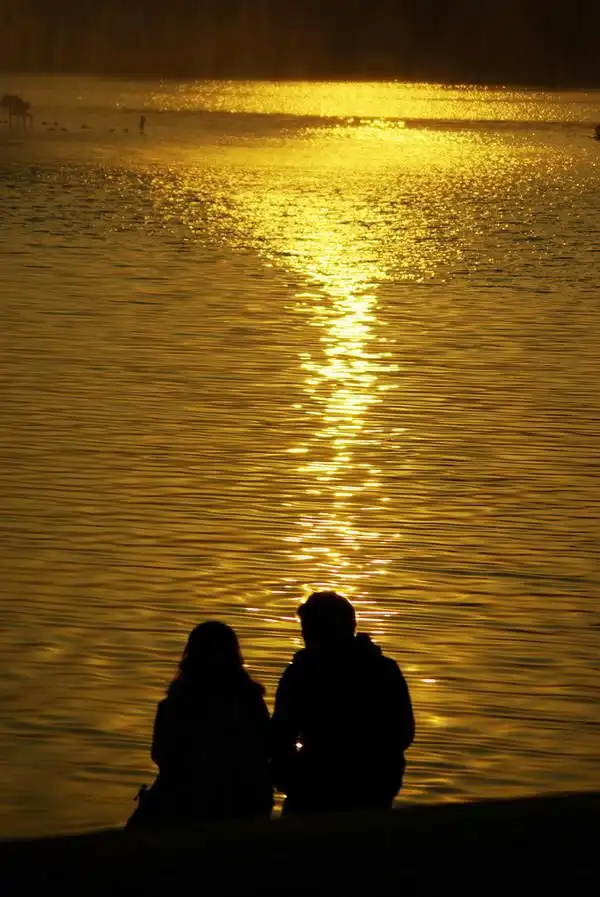 亲密爱人:冬日黄昏,于青枫公园邂逅一对亲密恋人.很有爱