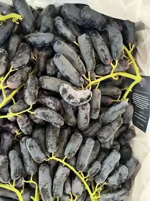 提升幸福感的水果 | 澳洲金手指黑提子 99