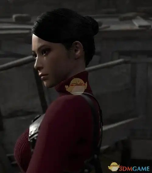 生化危机4重制版艾达光滑的发髻mod