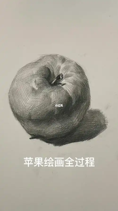 素描苹果绘画全过程分享