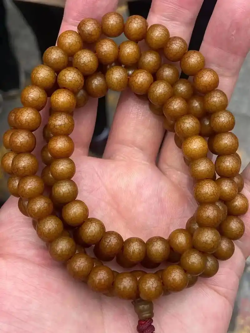 藏区爆老原生态酥油黄菩提根,品相完美,包浆磨损漂亮,收缩紧致 - 抖音