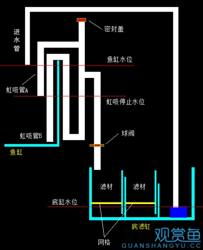 底滤缸和潮汐过滤通过虹吸下水管二合一的构想可行请