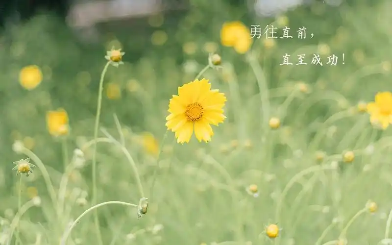 经典励志说说致自己带字配图