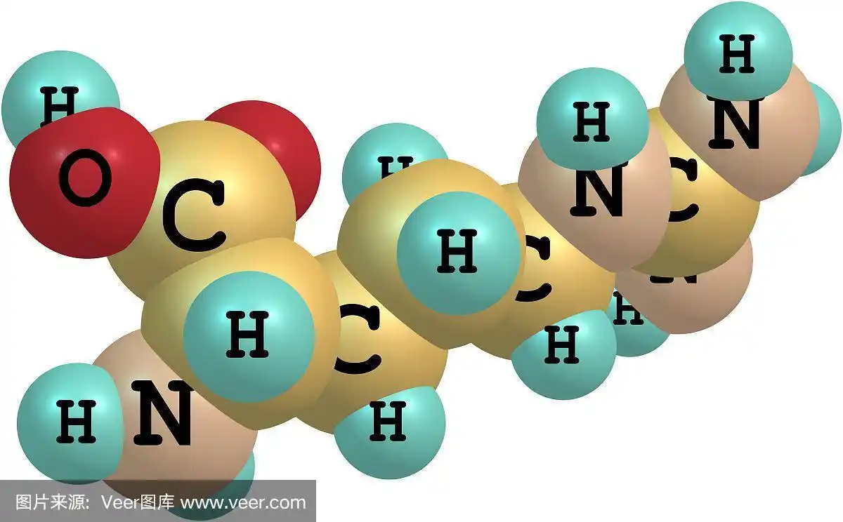 白色背景上的精氨酸分子结构