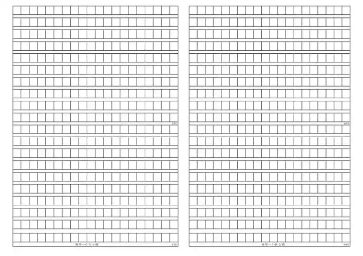 作文纸(800字)