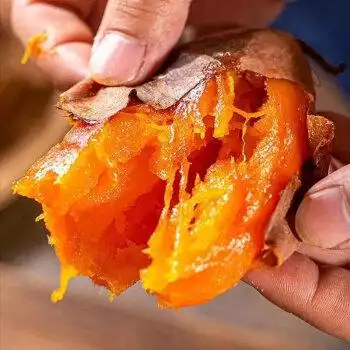 卢龙红薯 卢龙甘薯烟薯25糖心油蜜薯整箱新鲜无筋 【甜蜜油】烟薯25 5