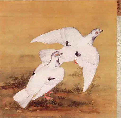 清 蒋廷锡 鹁鸽谱