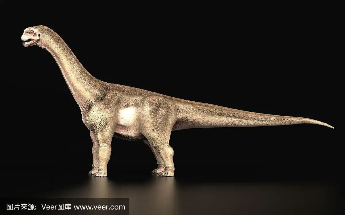 圆顶龙恐龙站立黑色背景侧视图3d渲染