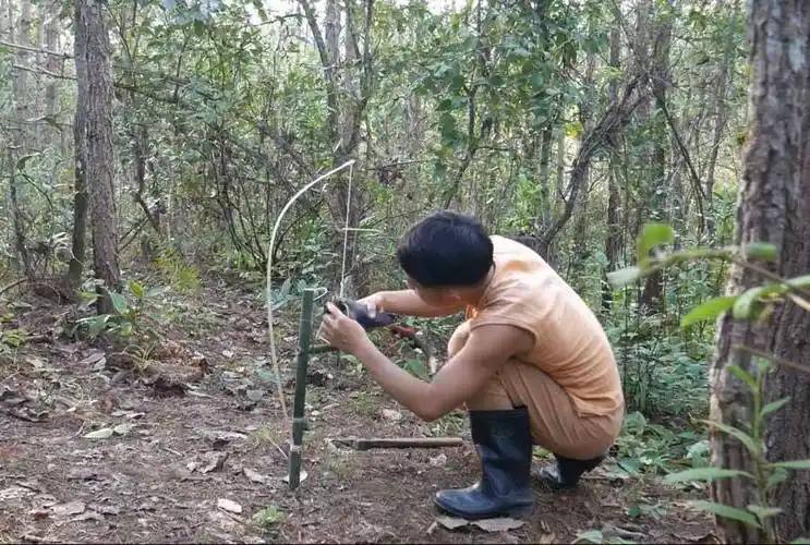 《捕猎陷阱》纪录片解说素材 1080p全179集