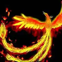 关于凤凰的头像_微信头像图片大全