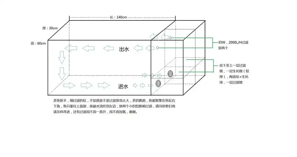 我的侧过滤鱼缸,买的时候不懂,现在很是苦恼,请前辈们提出改进方法