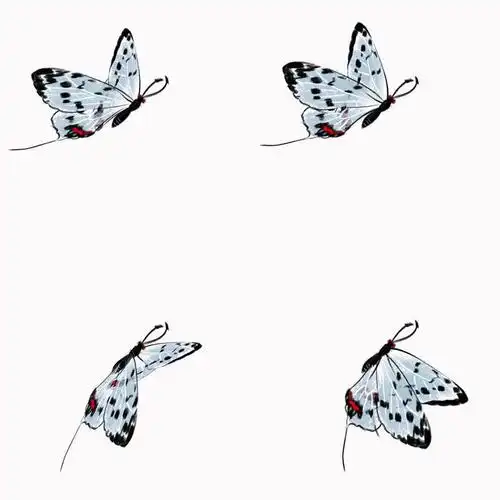 带通道蝴蝶侧飞视频素材