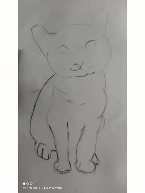 素描猫