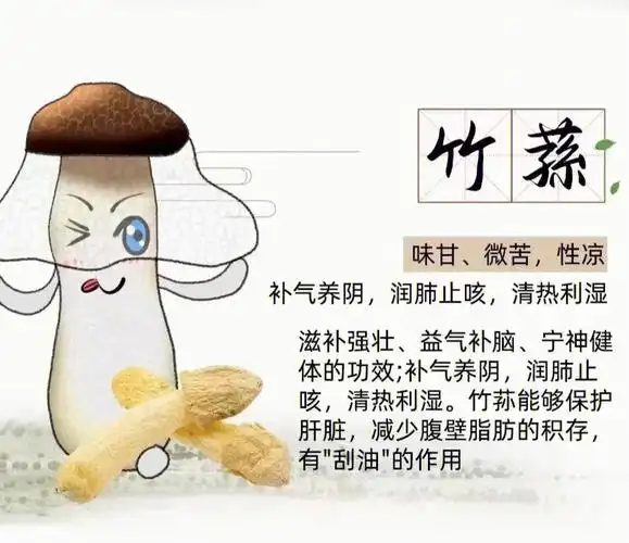 功效,还能够保护肝脏,减少腹壁脂肪的积存,有俗称"刮油""消脂"的作用