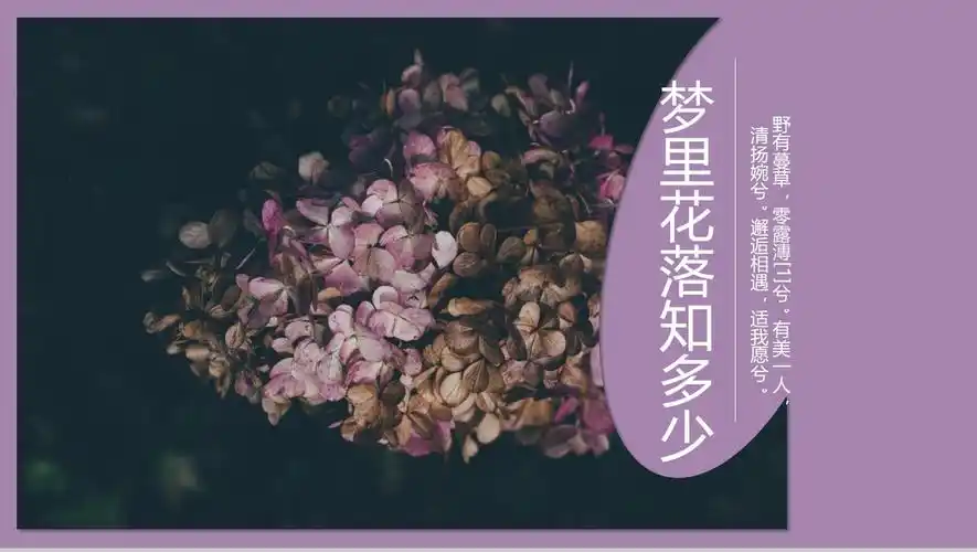 欧美大气杂志风梦里花落知多少16素材ppt模板精选