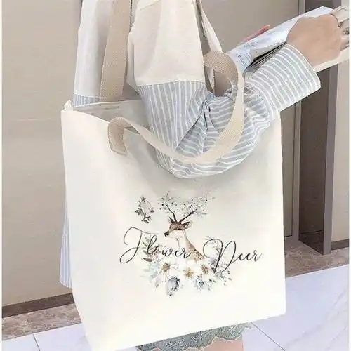 帆布包女斜挎新品学生上课包韩版单肩大容量有拉链日系百搭上班简