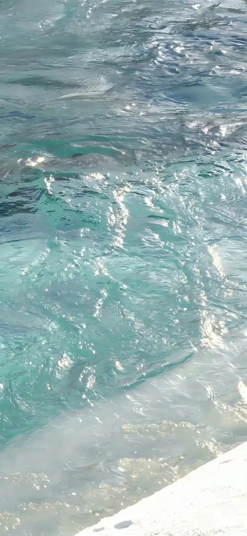 治愈系343839393338333235全面屏锁屏壁纸