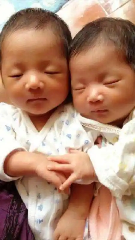 谢娜双胞胎宝宝好可爱,哪个是姐姐?哪个妹妹呢?张杰分辨有妙招-度小视