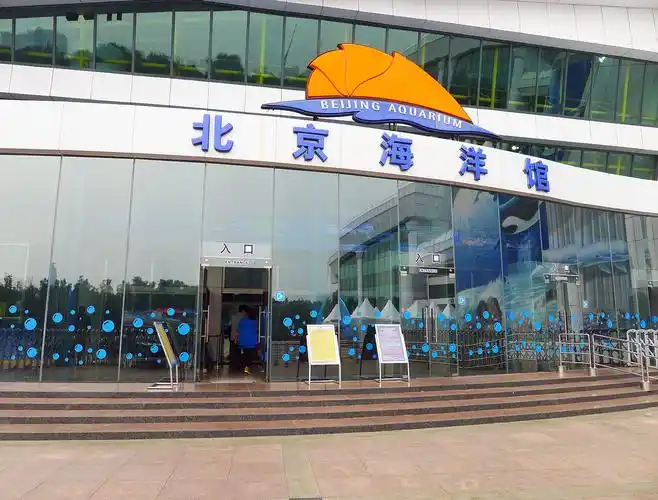 北京海底世界图片(北京海底世界图片真实)