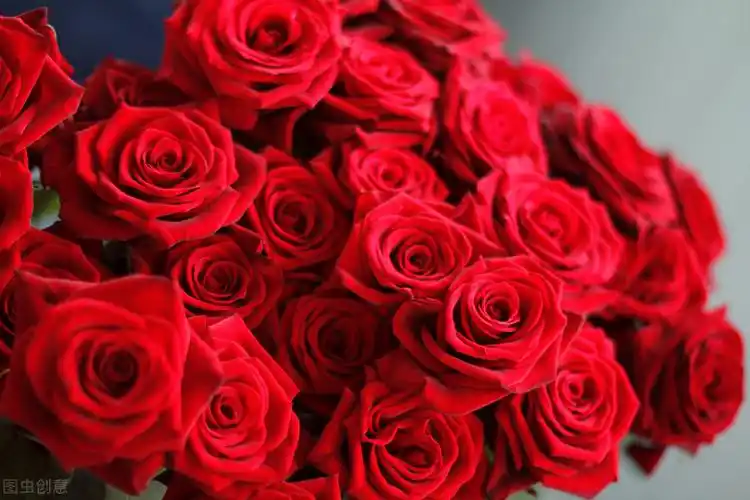 玫瑰花原产地中国,现在玫瑰花种类多达一百多种,颜色上有红色,黑色