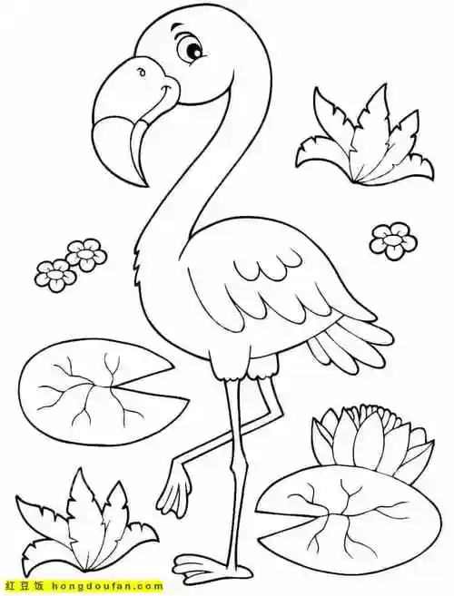 8张适合4到10岁孩子们绘画的火烈鸟卡通儿童简笔画