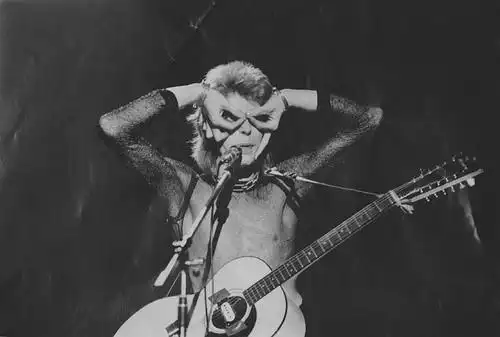 传奇音乐人大卫·鲍威患癌去世