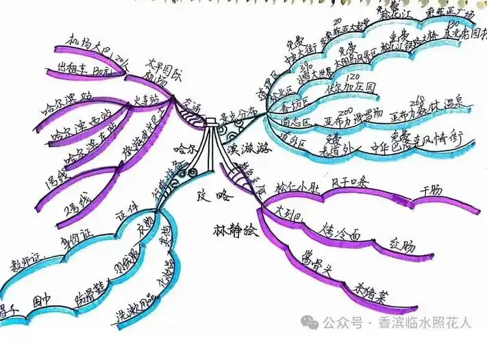 【思维导图"画"作文——四年级下册《游——》】时婧涵《哈尔滨博物馆