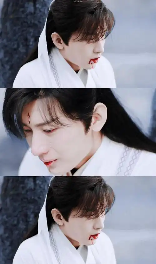 当初我一定是瞎了才会觉得琉璃中的禹司凤不够帅