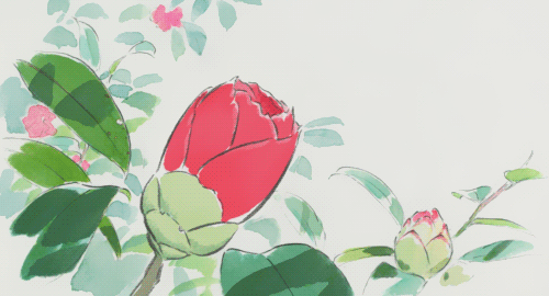 健康传递我伙呆一朵小花居然能让人变成这样