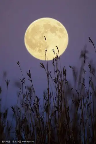 《秋天的月亮》——王梓烯 北马路小学三年级六班
