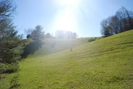 阳光照射的夏山坡牧草地风景照片