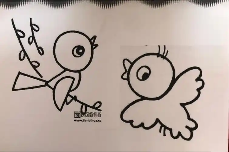 活动内容:①练习涂色.②故事(小鸟的家)