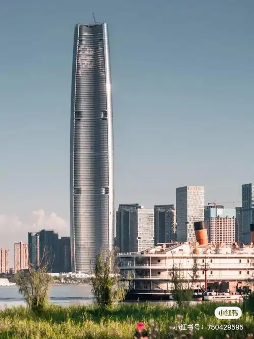 泰合广场高度176米1924年武汉关大楼46