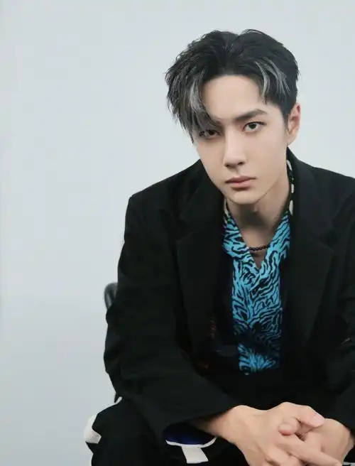 王一博灰白挑染不羁帅气写真图片69