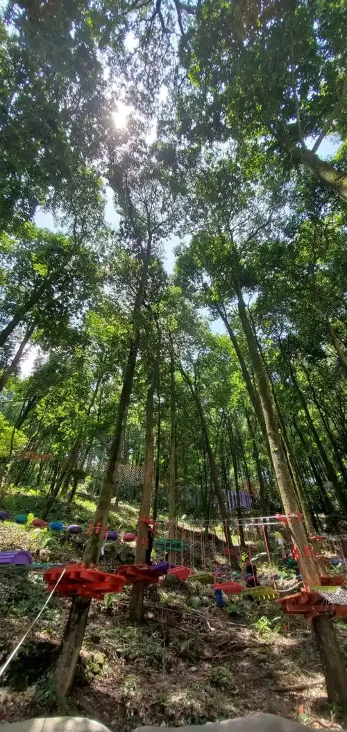 即将试营业天竺山景区飞越丛林卡丁车趣玩项目来袭