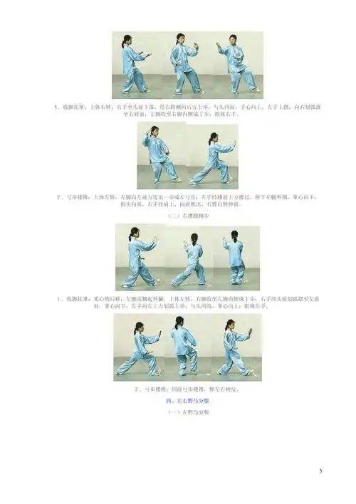 八式太极拳动作详解