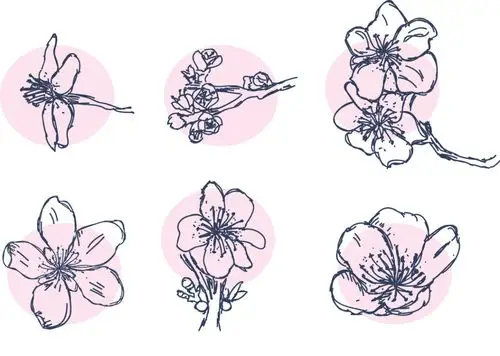 手绘樱花矢量素材