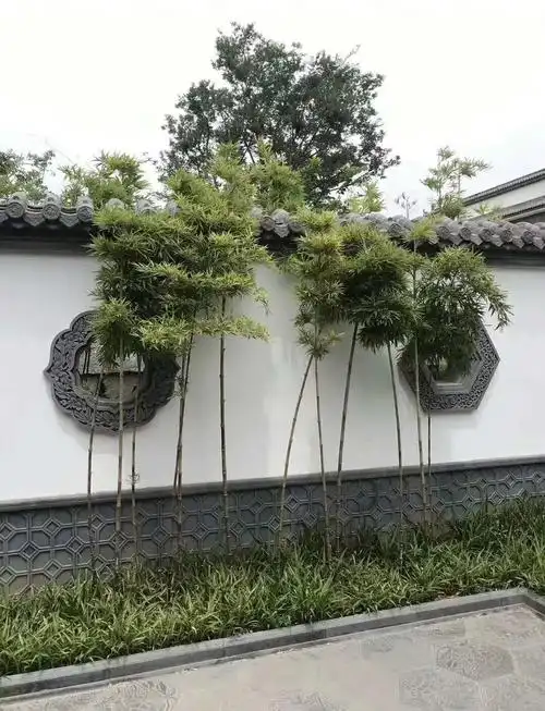 中式围墙砖雕装饰