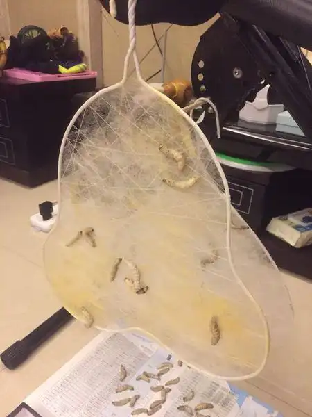 蚕丝的工艺品最简单的