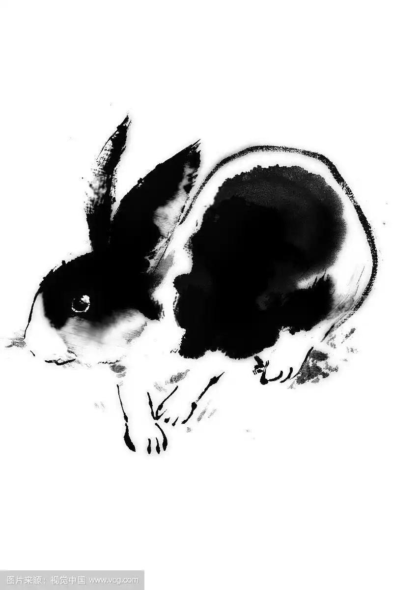 国画兔子