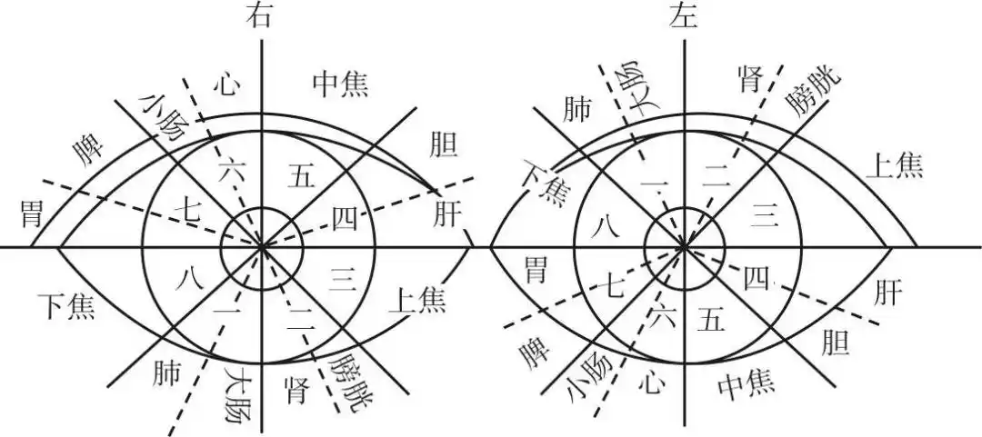 【康复园地】神奇五官望诊之眼诊篇_血管_疾病_眼目