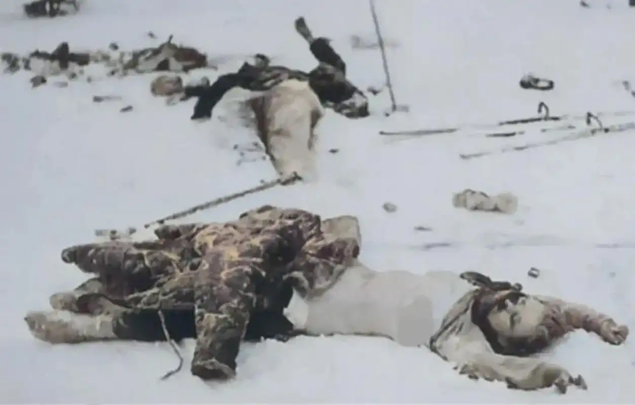 一位勇敢的女战士在战斗中壮烈牺牲,敌人无情地剥夺了她的尊严,剥去了