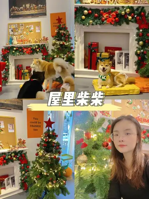 一次性撸啦这么多狗99店名:屋里柴柴99位置:长青美食街附近(直接