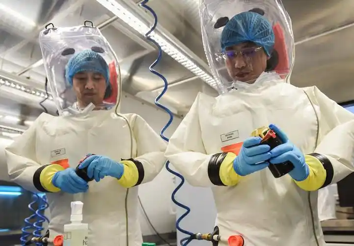 中国首个p4实验室正式运行