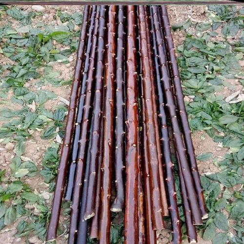 对节木棍对节木对节木棍鞭杆健身长棍短棍武术棍按摩运动一体